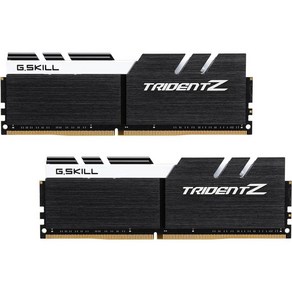 G.SKILL TridentZ 시리즈 16GB (2x 8GB) 288핀 DDR4 3200 (PC4 25600) Z170 플랫폼 데스크톱 메모리 F4-3200C16D-16GTZKW