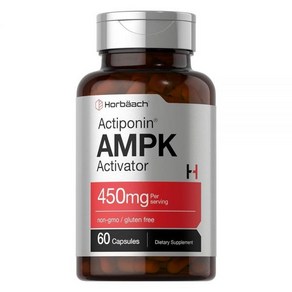 호바흐 AMPK 대사 활성제 450mg 60캡슐, 1개, 60정