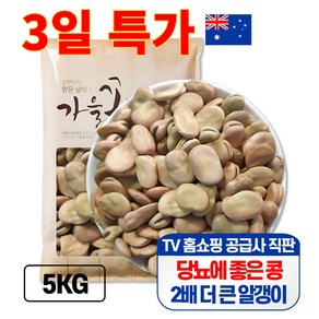 큰나무 자이언트 파바빈 대용량 5kg 공식 수입사 직판 당뇨콩, 1개