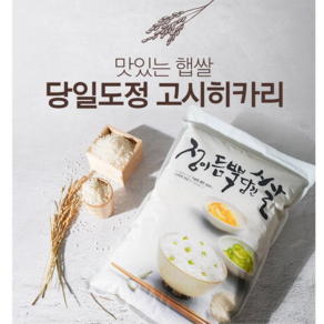 24년 햅쌀 특등급 평택 고시히카리 당일도정 10kg+10kg, 1개