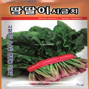 재래종 땅딸이 시금치 씨앗 35G 새싹채소씨앗 허브채소 야채씨앗 쌈채소모종, 1개