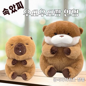 {{속았지}} 우소우소짱 인형 27cm [[다크브라운]] 공식정품, 1개, 속았지 우소우소짱_다크브라운