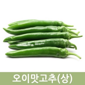 두리반농산 오이맛고추(상) 10kg - 아삭아삭 고추 크고 구불어짐 오이고추, 1개