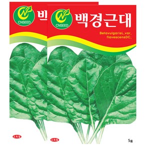 세인화분 백경근대 5g - 국산 근대씨 근대씨앗, 2개