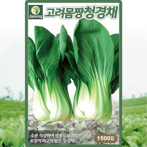 다농 고려몸짱청경채 씨앗 1500립 청경채씨 쌈채소 종자, 1개