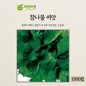 KS종묘 참나물 씨앗 1500립 엽색이 진한 생육 우수 미쯔바 우수 품종 종자, 1개