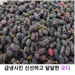 국내산 신선하고 달콤한 특품 오디 생과 1kg 2kg 4kg 8kg 국산 햇오디 오디열매 토종 야생 특품 오디 산뽕오디, 1개