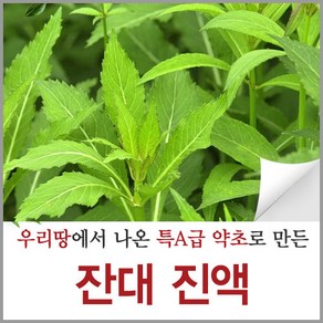 신토불이약초 잔대 진액 즙 뿌리 액기스 원액 90ml 60포