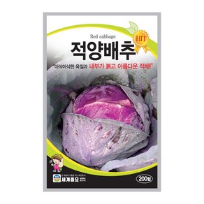 적양배추씨앗 배추 씨앗 양배추 씨앗 종자 200알