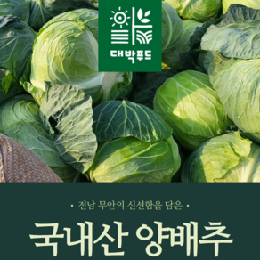 [대박푸드] 국내산 무안 양배추 (2kg 3kg 6kg) 이내 깐양배추 (1개 2개 3개)