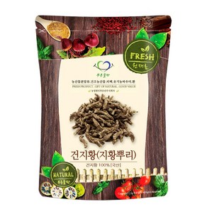 푸른들판 국산 건지황 지황 뿌리 차, 500g, 1개