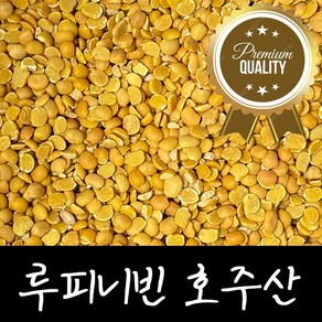 껍질깐 루피니빈콩 호주산 루핀콩 LUPIN 100%, 4개, 1kg