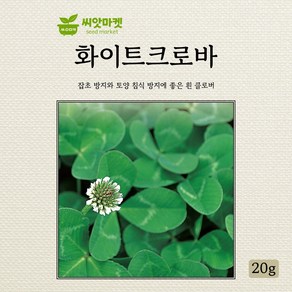 다농 화이트크로바 씨앗 20g, 1개