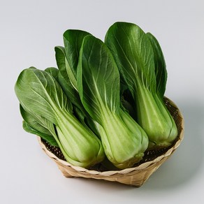 [산지직송] 싱싱한 청경채 특품 샤브샤브 볶음 쌈채소, 1박스, 500g
