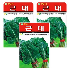 근대 씨앗 종자 근대씨 청근대 씨, 3개