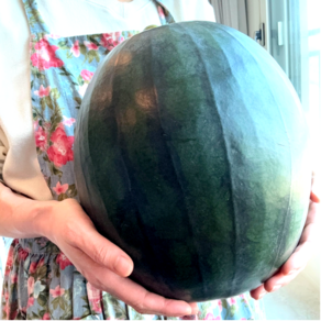 [산지직송] 고당도 보장 프리미엄 정품 흑수박, 1개, 6kg 이상
