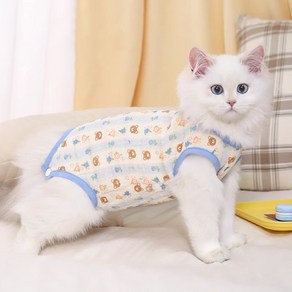 파스텔펫 반려동물 잔꽃 곰돌이 중성화복, 블루, 1개