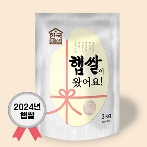 팜웍스 2024년산 햅쌀이왔어요 3kg, 1개