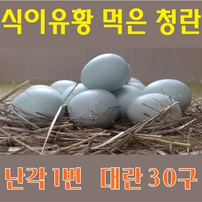 강원고성 자연방사 청란 (대란) 유정란 청계란 (난각1번)