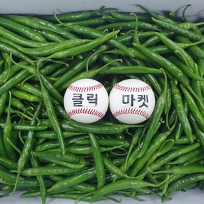 클릭마켓 국내산 청양고추, c청양고추 2kg, 1개