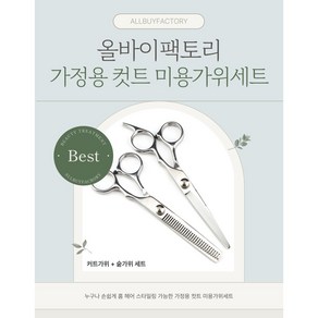 올바이팩토리 프리미엄 가정용 컷트 미용가위세트, 1개, 실버