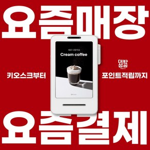 애플페이 토스플레이스 카드단말기 태블릿포스기 미니키오스크 토스프론트 터미널 홍대, 노트북에서, 1개, 토스프론트 단품