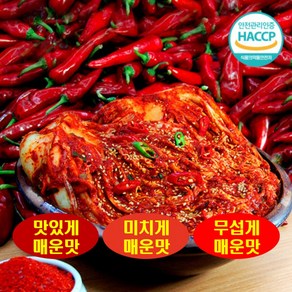 국중석 맛있는 전라도 명품 매운맛 3단계 배추불김치 무섭게매운맛 1kg, 1개