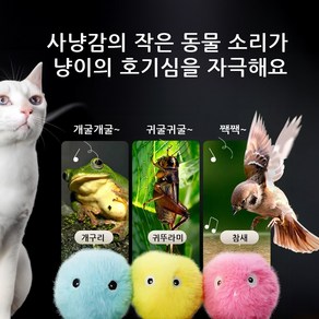 메호라 고양이가 빠져드는 소리 장난감, 1개, 블루 개구리