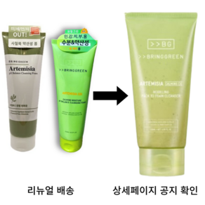 브링그린 사철쑥 약산성 클렌징폼 250mL, 120ml, 2개