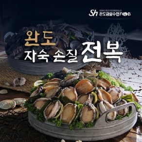 수협자숙전복 수협 국내산 자숙전복 100g*6팩 / 총18미, 상세페이지참조, 6, 100g