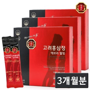 천삼인 고려 홍삼정 에브리웰빙 스틱 30포X3box(3개월분), 300ml, 3개