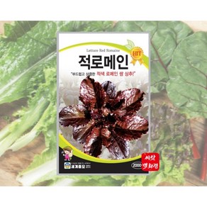 맛 있는 적로메인 상추씨앗 적로메인종자 로메인, 1개