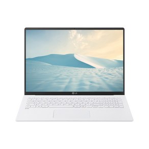 LG 그램 2021 17Z95N 11세대 i5 8GB NVME512GB 윈도우10, WIN10, 512GB, 화이트