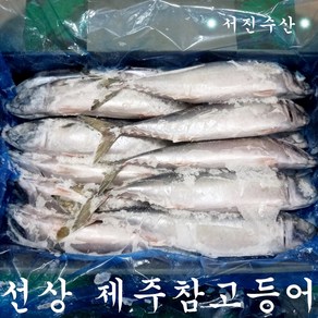 제주참고등어 특대 5마리 6.5kg(마리당 650g내외), 1개