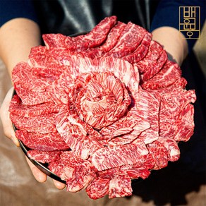 [백운몽] 1++한우 투뿔 특수부위 모둠 구이세트 600g/1kg