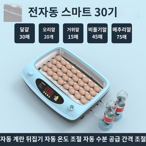 신형 부화기 아리-30란 병아리부화기 계란부화기 전자동, F타입, 1개