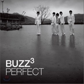 [CD] 버즈 (Buzz) 3집 - Pefect