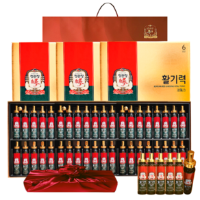 정관장 6년근 홍삼정 활기력 48세트(홍삼농축액 비타민함량) 960ml+쇼핑백 골프 여행 부모님 명절 선물세트(보자기포함) 1개