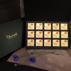 초코셀디 감사초콜릿 15p, 1세트, 81g