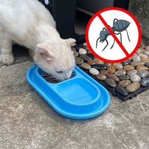 길냥이 길고양이 밥그릇 강아지 개미방지 개미퇴치