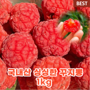 국내산 국산 구찌뽕 꾸지뽕 1KG 몸에 좋은 구찌뽕 열매 생 구찌뽕 생과 산 딸기 잎 효능 건강 제철 음식