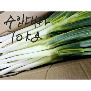 [특상-품질보장] 프리미엄 수입 손질 우승대파 업소용 식자재용 중국산 5kg 10kg [원산지:중국], 1박스