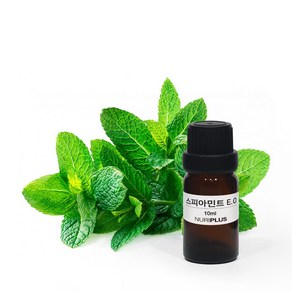 [엔피솝] 스피아민트 에센셜오일 비누만들기 화장품만들기, 10ml, 1개