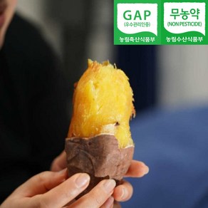 GAP 무농약 베니하루카 꿀 고구마 3kg 5kg 10kg, 1개, 3kg/대/개당 320g이상