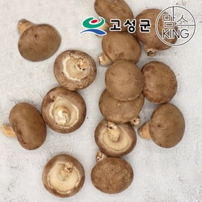 [공룡나라]고성 웅이표고농장 생표고버섯(생표고/하품1kg), 1개