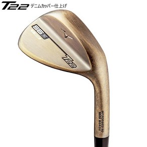 미즈노 T22 Dynamic Gold HT S200 웨지, 56-14(S)