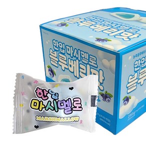 (무)한입 마시멜로 블루베리맛5gX20개, 250g, 20개