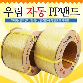 우림 승전유통 국산정품 pp밴드 노끈 포장끈 밴딩끈6kg 18mm 1롤, 1개