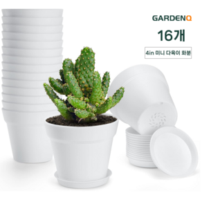 GARDENQ 미니 화분 세트 - 다육이&실내식물용 플라스틱 화분 (4인치/6인치 블랙&화이트), 16개, 화이트