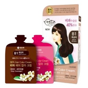 자연으로 비파 헤어 칼라 크림, B1 흑갈색, 120ml, 1개